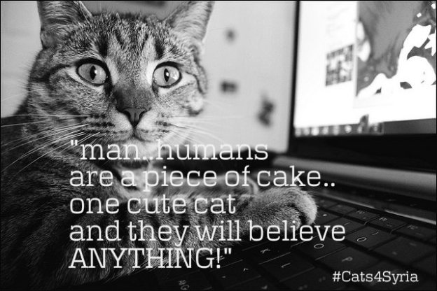 man humans are a piece of cake